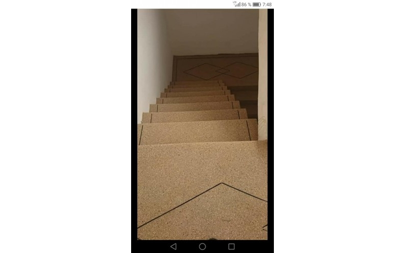 Imagen 5